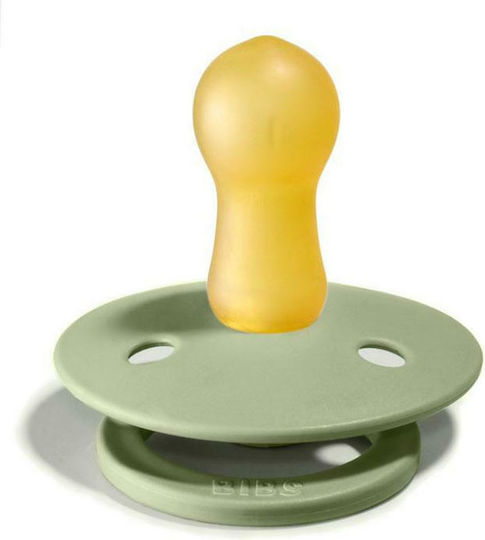 Bibs Πιπίλες Καουτσούκ για 18+ μηνών Colour Sage / Hunter 2τμχ