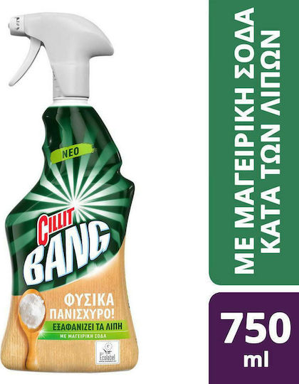 Cillit Bang Καθαριστικό για Λίπη Spray 750ml