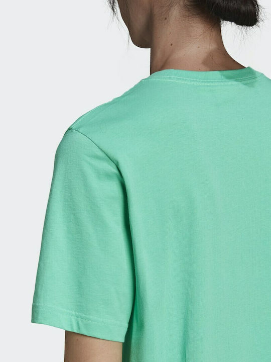 adidas Loungewear Adicolor Essentials Hi-Res Green