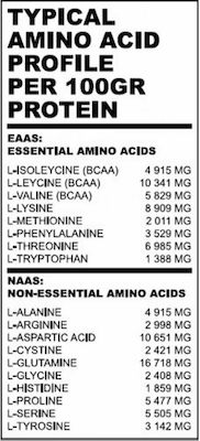 True Nutrition True Isolate Πρωτεΐνη Ορού Γάλακτος Χωρίς Λακτόζη με Γεύση Βανίλια 2kg