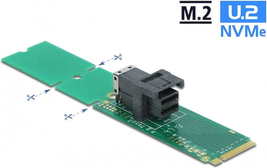 DeLock DeLock PCIe Erweiterungskarte für M.2 Schnittstelle