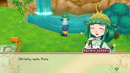 Story Seasons Friends of Mineral Town PS4 Game