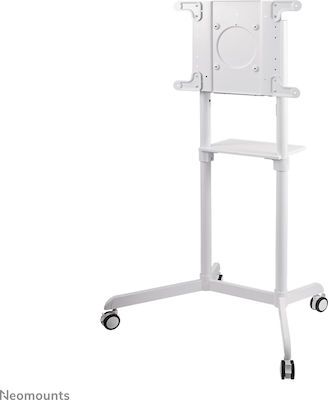 Neomounts NS-M1250 Βάση Τηλεόρασης Δαπέδου έως 70" και 70kg White