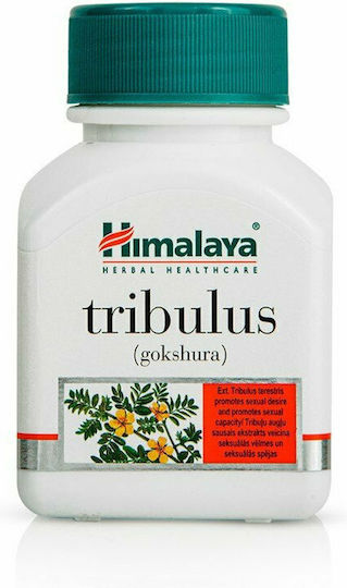 Himalaya Wellness Tribulus Men's Wellness 60 φυτικές κάψουλες