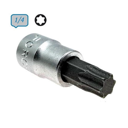 Force Torx socket 1/4'' Walnut with Torx Head and Socket 1/4'' T25x32mm