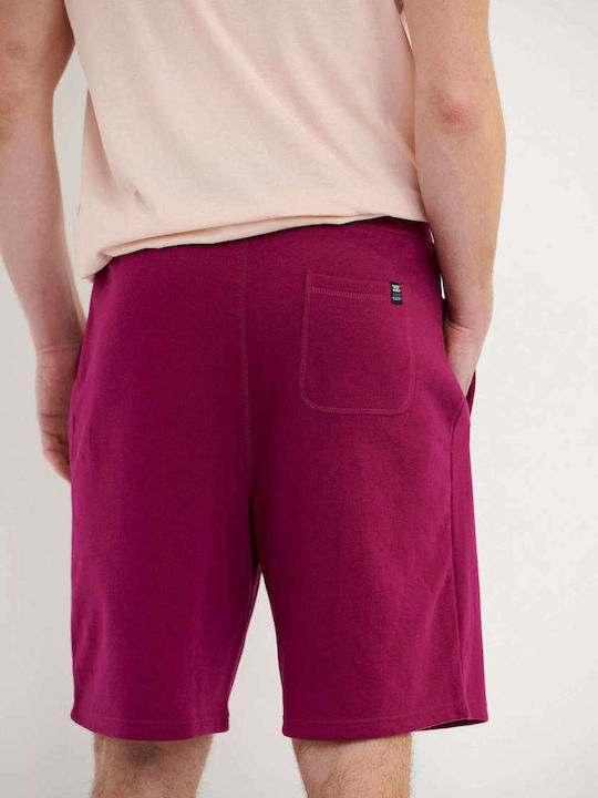 Funky Buddha Pantaloni scurți sport bărbați Magenta