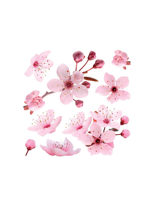Ango Παιδικό Διακοσμητικό Αυτοκόλλητο Τοίχου Cherry Blossom 58x72εκ. Ango Παιδικό Διακοσμητικό Αυτοκόλλητο Τοίχου Cherry Blossom 58x72εκ.