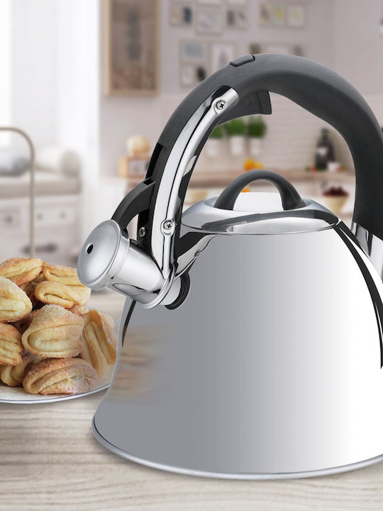 Maestro MR1320 Βραστήρας Ανοξείδωτος Ασημί 3000ml