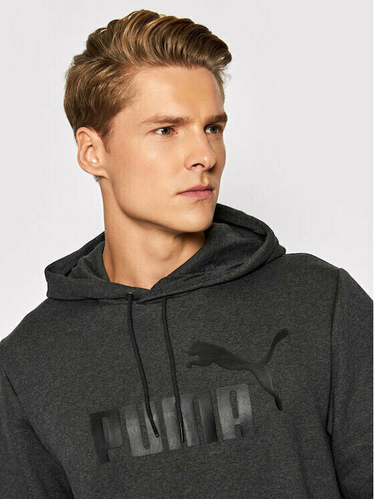 Essentials Big Logo Sweatshirt with Hood Gray