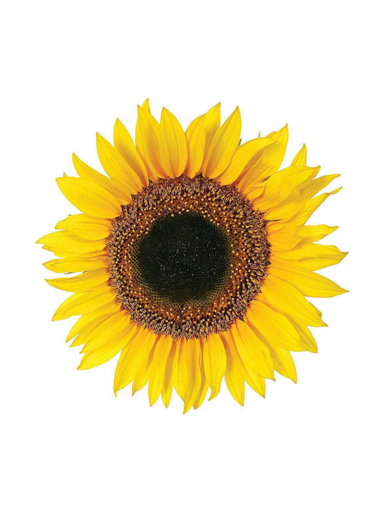 Decorative Sticker Wall Sunflower 1pcs Ango