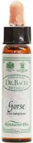 Ainsworths Gorse Ανθοΐαμα σε Σταγόνες 10ml