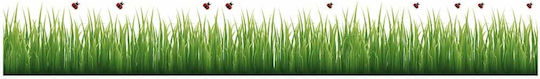 Διακοσμητικό Αυτοκόλλητο Τοίχου Grass & Ladybugs Βινυλίου 1τμχ Ango