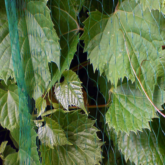 Bradas Repellent Net Birds 2x10m