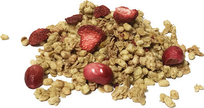 Πασσάς Granola de Ovăz Căpșuni 100gr 1buc 0053