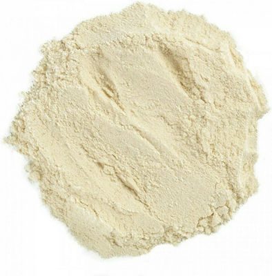 ΜΠΑΧΑΡΑΔΙΚΟ Garlic Powder 300gr