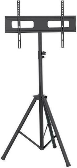 Focus Mount TS564 Βάση Τηλεόρασης Δαπέδου έως 70" και 40kg