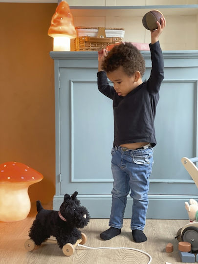 Egmont Pull-Along Toy Pull-Along Dog made of Wood for 12++ Months