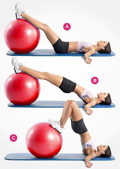 Sports Yoga Μπάλα Pilates 55cm σε Ροζ Χρώμα
