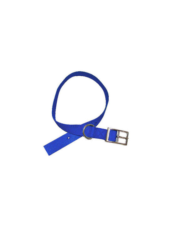 Pet Interest Single Layer Metal Dog Collar In Blue Colour XSmall 10mm x 30cm