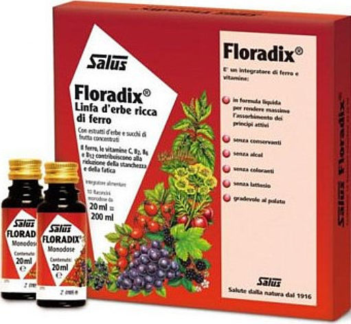 Salus Haus Floradix Liquid Iron Formula Κατάλληλο για Παιδιά με Βιταμίνη C 200ml