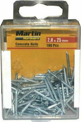 Steel Nail 2x25mm 100pcs