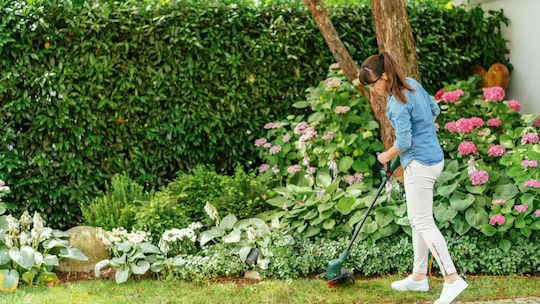 Bosch EasyGrassCut 18-26 Brush Cutter Shoulder / Hand Battery