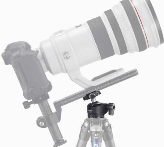 Leofoto LH-30+BPL-50 Cap fotografic