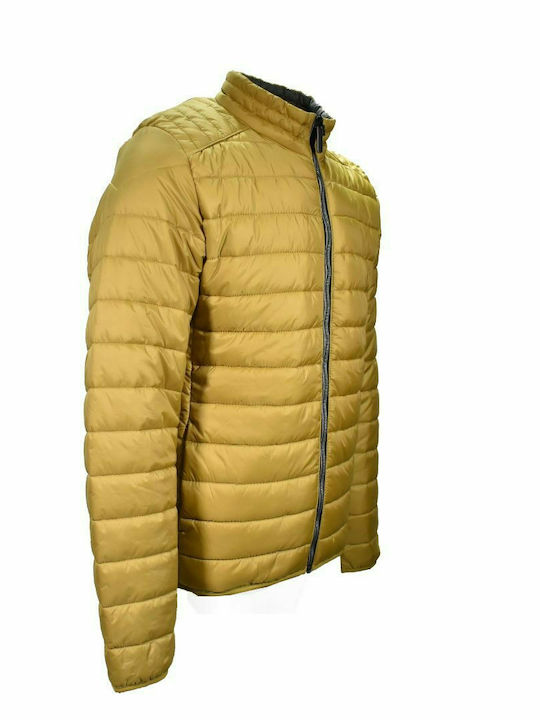 Herren Steppjacke Gelb Calamar CL 130710-4Y05-62