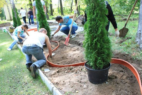 Primatera Standartpark Πλαστική Μπορντούρα Κήπου σε Καφέ Χρώμα 10cm x 10m