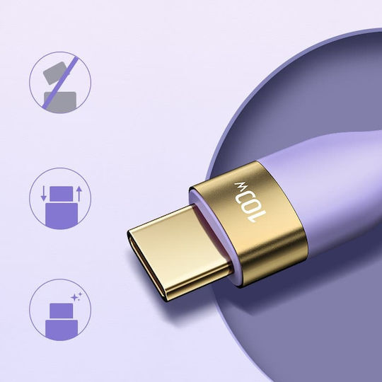 Joyroom S-1250N18 USB 2.0 Kabel USB-C männlich - USB-C 100W PD Lila 1,2m