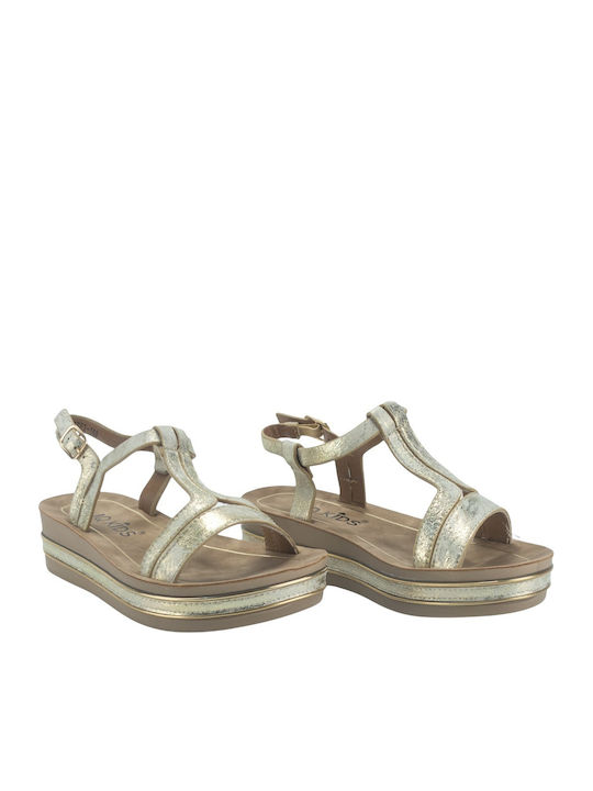 IQ Shoes