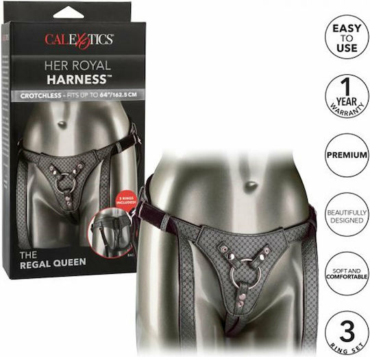 Calexotics Her Royal Harness The Regal Queen Gurtzeug in Schwarz Farbe