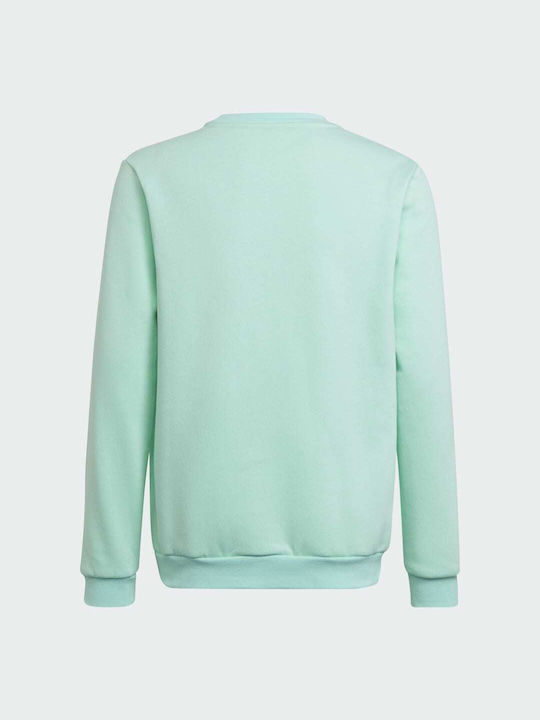 Adidas Fleece - Polar Hanorac pentru copii Verde Entrada 22