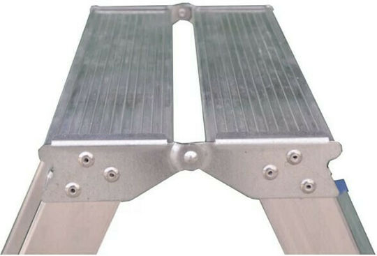 Profal Ladder Aluminum with 3+1 Steps