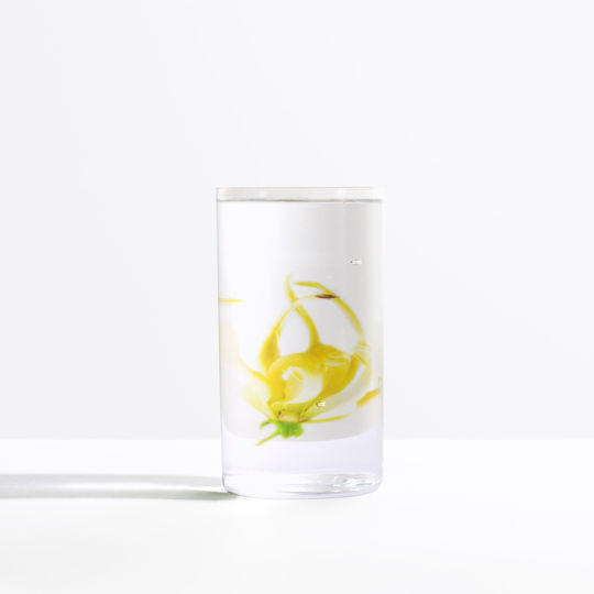 Rabanne Pure XS Eau de Parfum 50ml