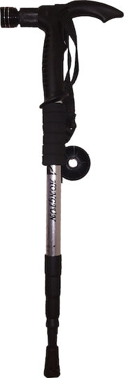 Telescopic Aluminum Trekking Pole with 3 Sections 138339 Silver