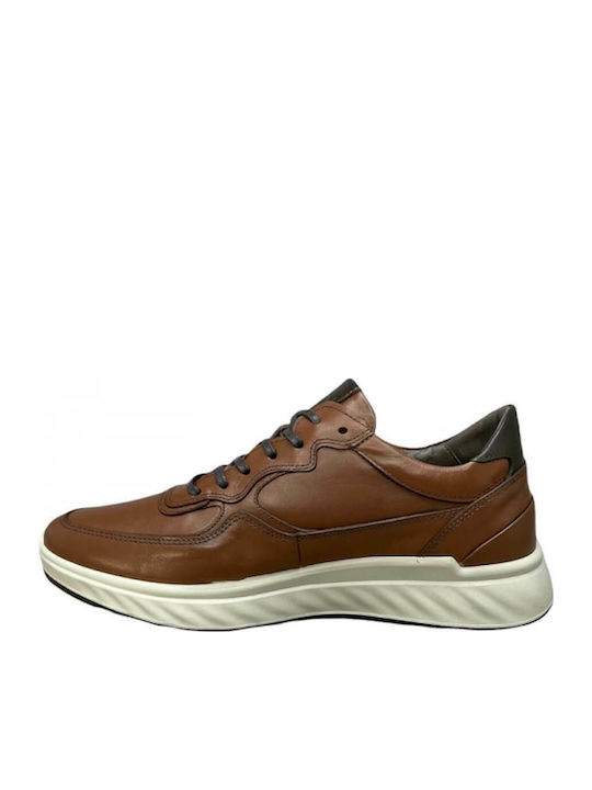 Anatomical Sneakers Tabac Brown