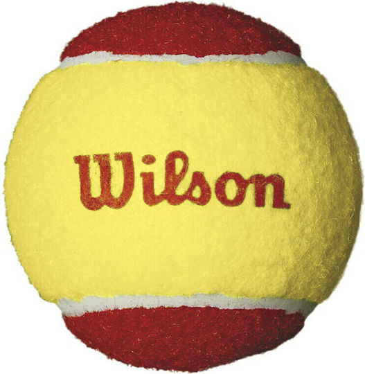 Wilson Starter Red Тенис Топки 12 Бройки
