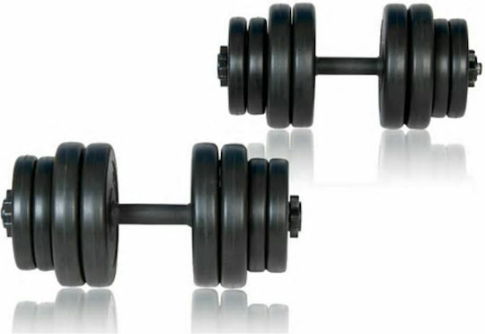 vidaXL Αλτήρες Σετ 2x 15kg