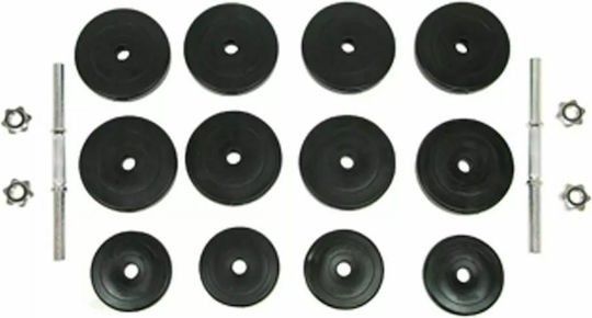 vidaXL Set de gantere 2x 15kg