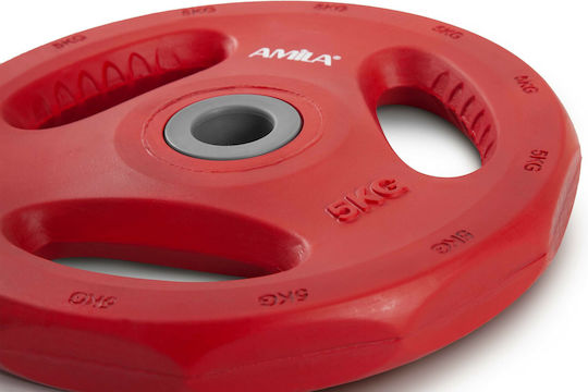 AMILA Pump Rubber Set of Plates Rubber 1 x 5kg Ø28mm with Handles