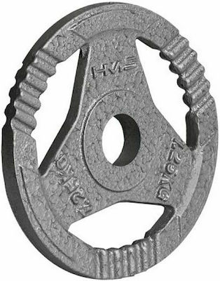 HMS THM01 Δίσκος Μεταλλικός 1 x 1.25kg Φ30mm με Λαβές