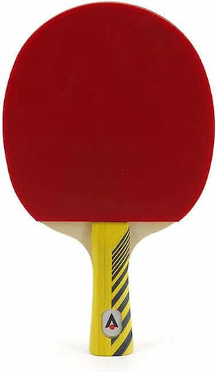 Karakal KTT 300 Ping Pong Racket For Advanced Players