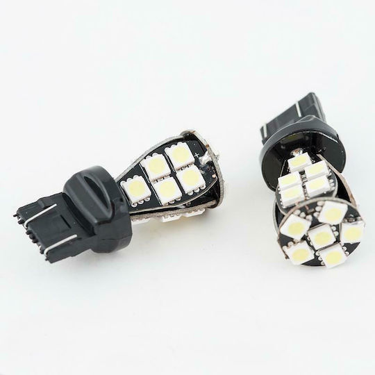 Lamps Car & Motorcycle T20 Canbus LED 6000K Cold White 12-24V 2pcs