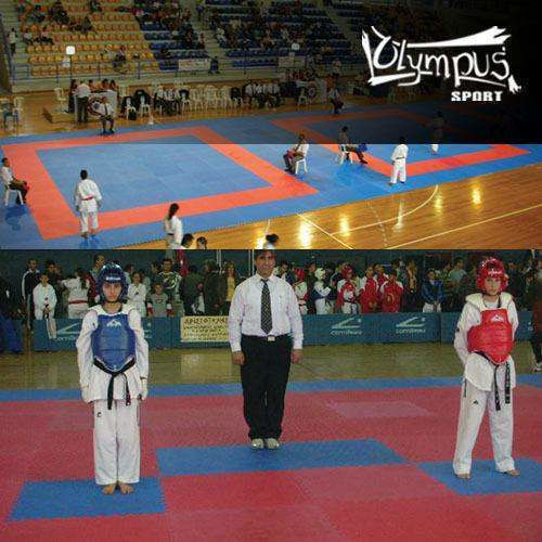 Olympus Sport Economy Boden Puzzle Fitnessstudio Doppelseitig 100x100x2cm 1Stück