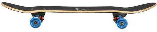 Nils CR3108SA Spot 7.87" Complete Shortboard Πολύχρωμο