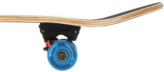 Nils CR3108SA Spot 7.87" Complete Shortboard Πολύχρωμο