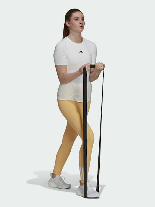Hyperglam Schulung Frauen Lang Leggings Hochgeschnitten Pulse Amber