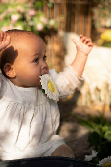 Oli&Carol Daisy the Daisy Teether from Rubber for 0 Months+