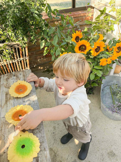 Oli&Carol Sun The Sunflower Teether from Rubber for 0 Months+